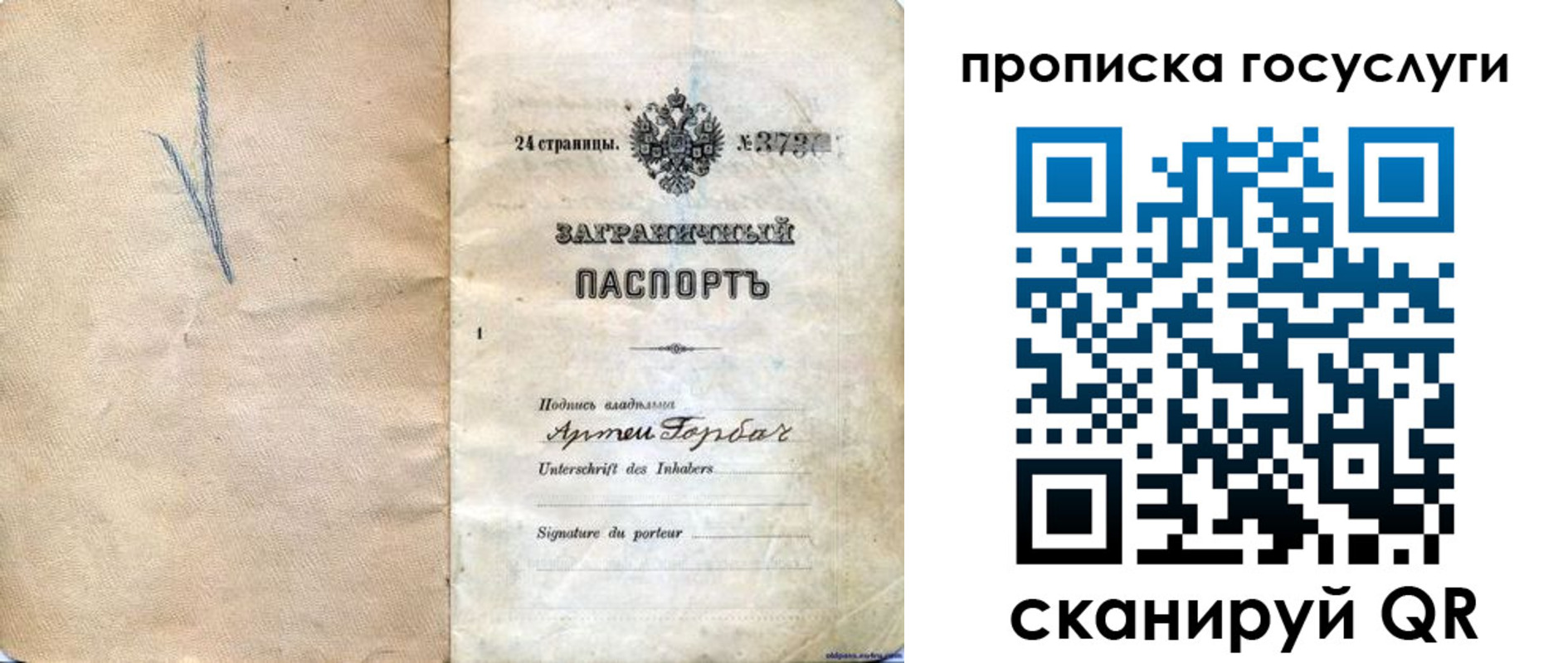 прописка законно в Ельне